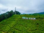 Walhi Jawa Barat Sebut 10 Hektar Lahan di Kawasan Puncak Hilang