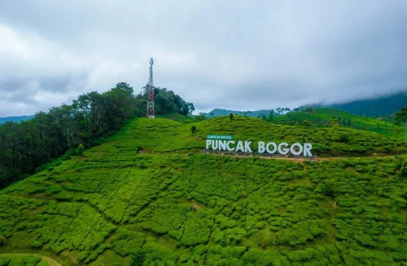 Walhi Jawa Barat Sebut 10 Hektar Lahan di Kawasan Puncak Hilang
