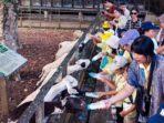 6 Wisata Edukasi di Bogor yang Cocok untuk Liburan Anak Sekolah