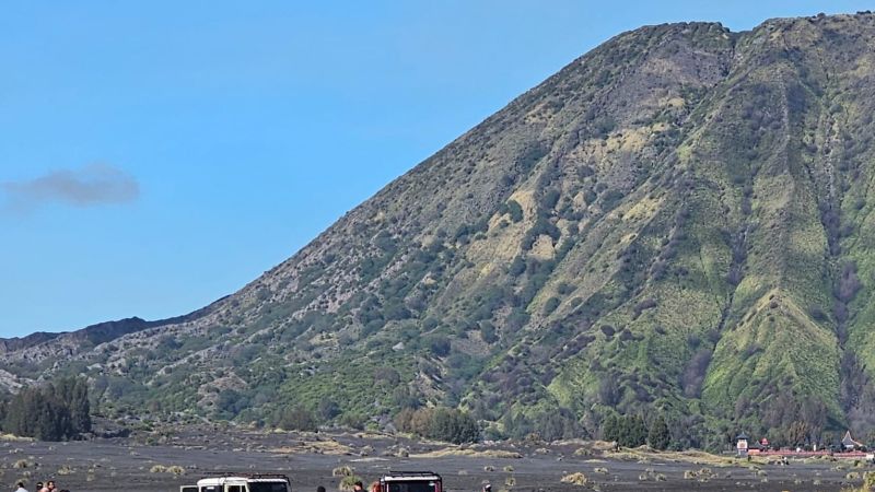 Balai Besar TNBTS: Ladang Ganja Tidak Berlokasi di Gunung Bromo