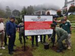 4 Vila di Puncak Disegel, Berdiri di Lahan Hutan Produksi