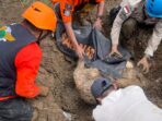 Korban Hanyut Akibat Banjir di Puncak Ditemukan Meninggal Dunia