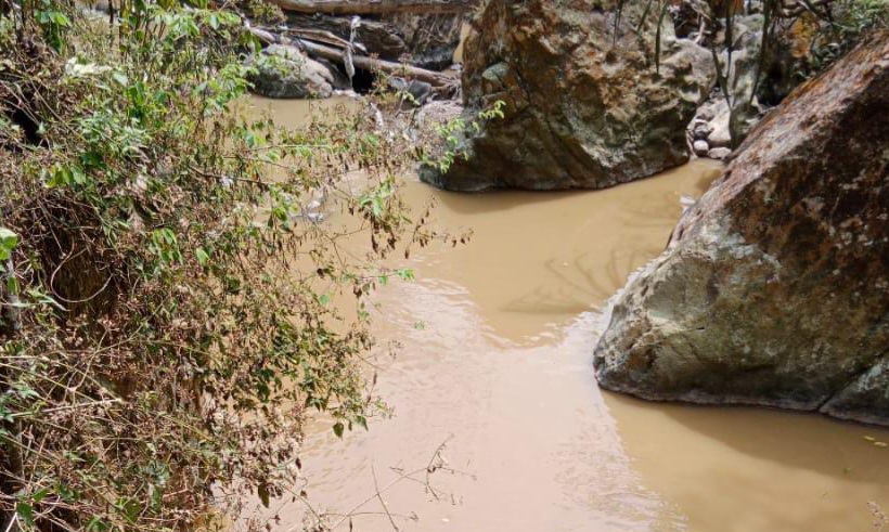 Walhi Jabar Desak Pemkab Bogor Tegas Atasi Kerusakan Lingkungan di Gunung Pongkor