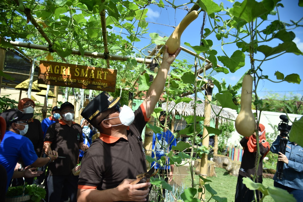 Bupati Kebumen Resmi Luncurkan Kawasan Agromen, Wisatawan Dapat Nimati Sembari Memetik Buah Sendiri