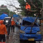 Pohon Tumbang Timpa Angkot di Bogor, Tiga Orang Luka-luka