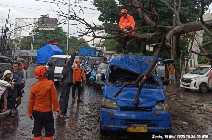 Pohon Tumbang Timpa Angkot di Bogor, Tiga Orang Luka-luka