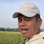 Gubernur Jabar Dedi Mulyadi Kembali Liburkan Supir Angkot di Jalur Puncak