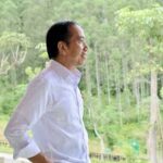 Jokowi Diharapkan Mendaftar sebagai Ketua Umum PSI