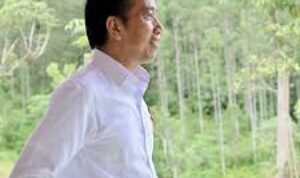 Jokowi Diharapkan Mendaftar sebagai Ketua Umum PSI