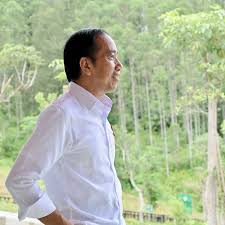Jokowi Diharapkan Mendaftar sebagai Ketua Umum PSI