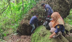 Menutup Rangkaian Peringatan HJB ke-543, Pilar Kesosialan Kecamatan Rumpin Gelar Ofsie Sampah di Situs Gunung Munara