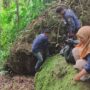 Menutup Rangkaian Peringatan HJB ke-543, Pilar Kesosialan Kecamatan Rumpin Gelar Ofsie Sampah di Situs Gunung Munara