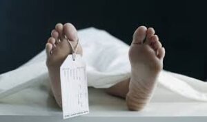Penambang Emas Ilegal Ditemukan Meninggal Dunia Usai Tertimbun Tanah di Tanjungsari Bogor